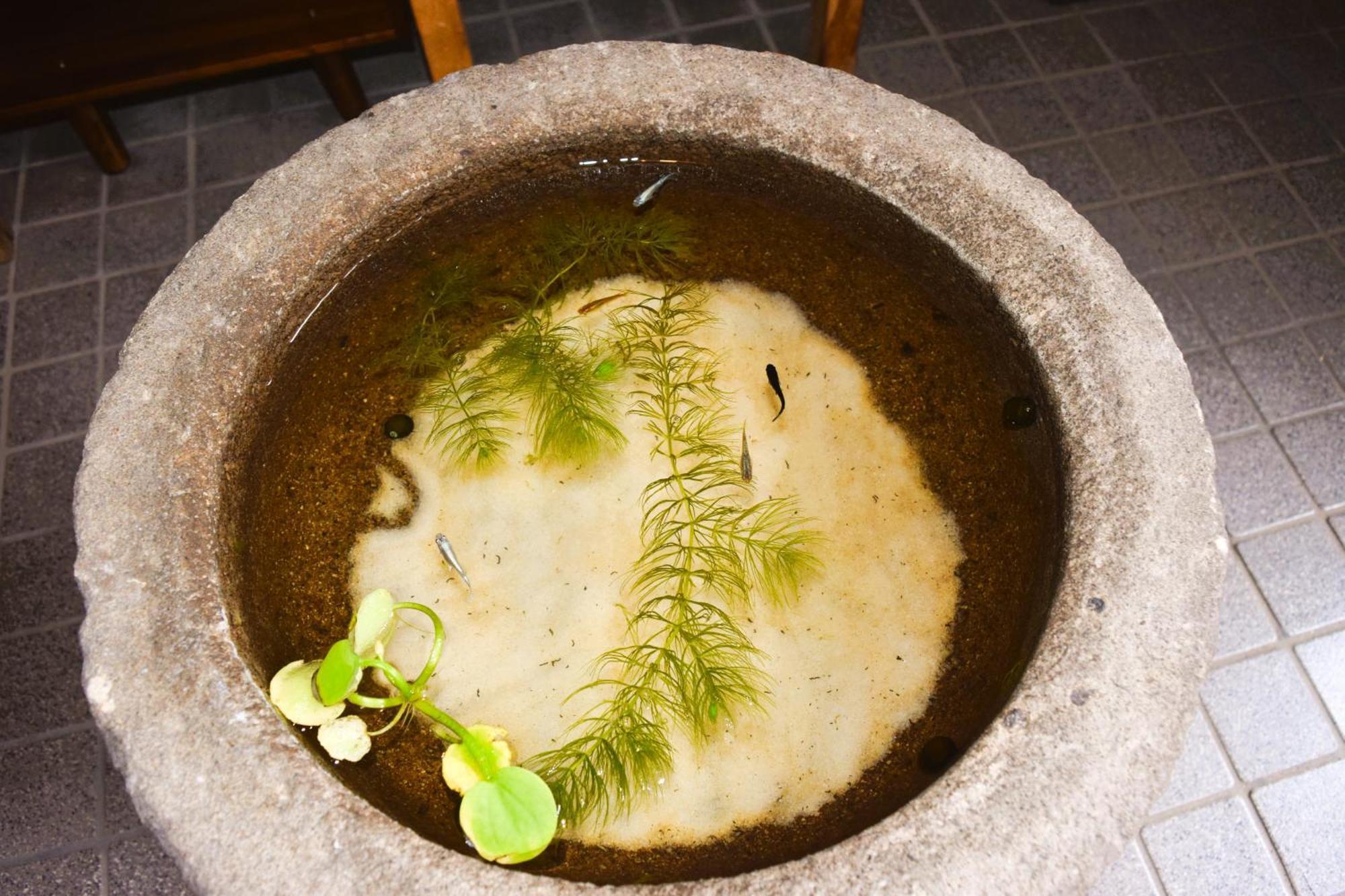 Villa Atagoya Takayama  Esterno foto